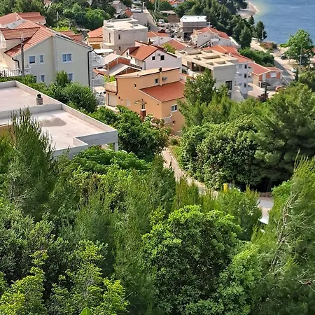 Zoi Πανσιόν *